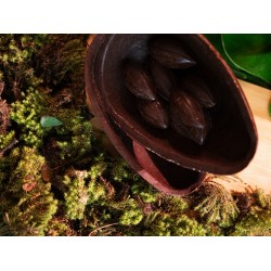 Ovo de pascoa crocante de castanha do para e coco 330 Gr xylitol