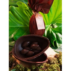 Ovo de pascoa crocante de castanha do para e coco 330 Gr acucar